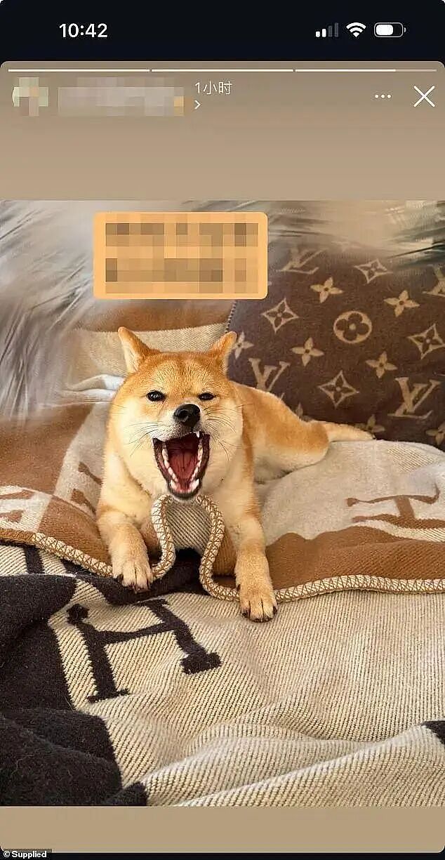 兰兰是谁？为何《每日邮报》穷追不舍，中文网络却查无此人？（组图） - 3