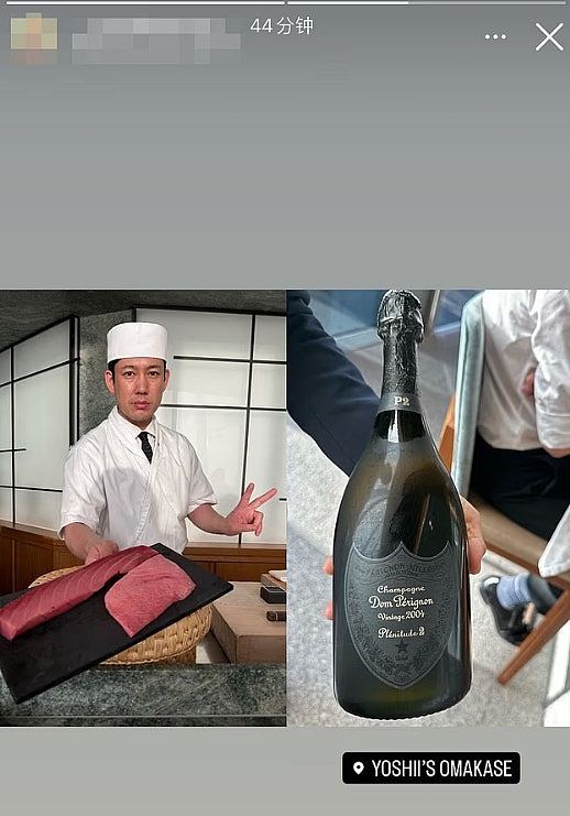 杨兰兰家世及其奢华生活曝光！网友叹：不如她家的狗（组图） - 5