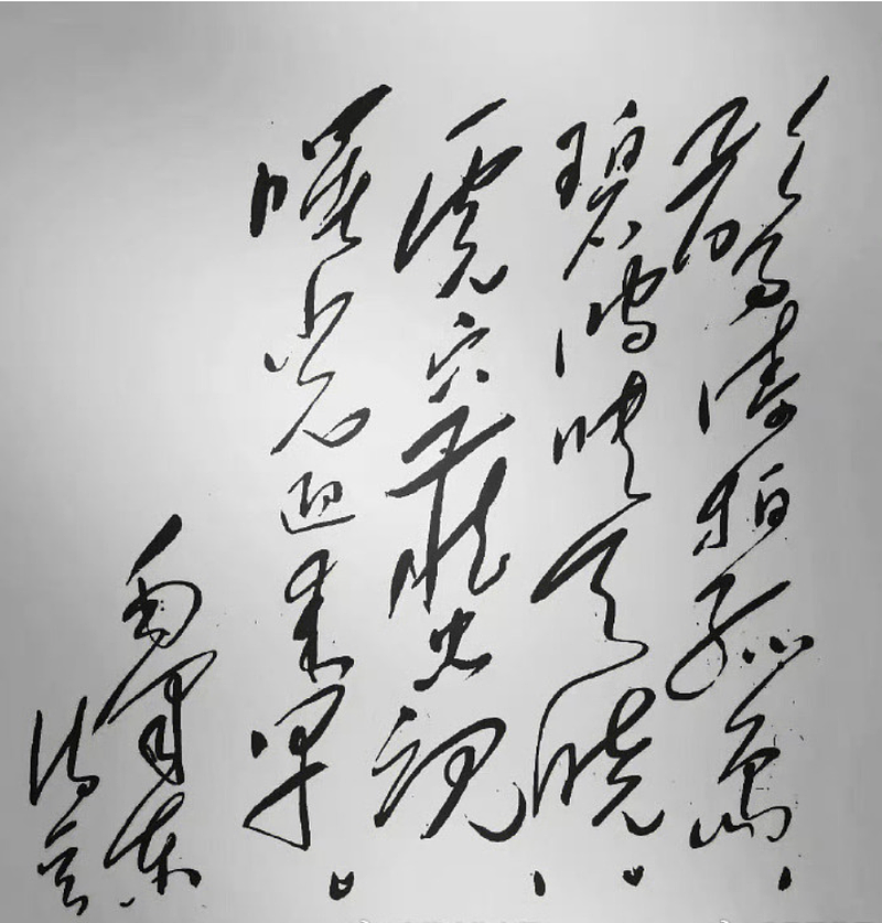 中媒： 最可恨的叛徒，严重阻碍了台湾的统一（组图） - 2