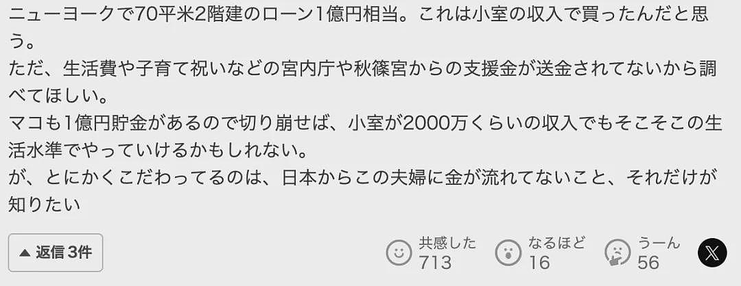 真子和小室圭纽约买房买车过上中产生活，日网民：你的工作我的税，全靠旧头衔啊（组图） - 18