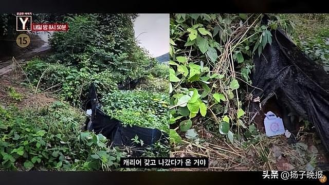 25岁韩国美女主播遭杀害，嫌疑人为榜一大哥（组图） - 3