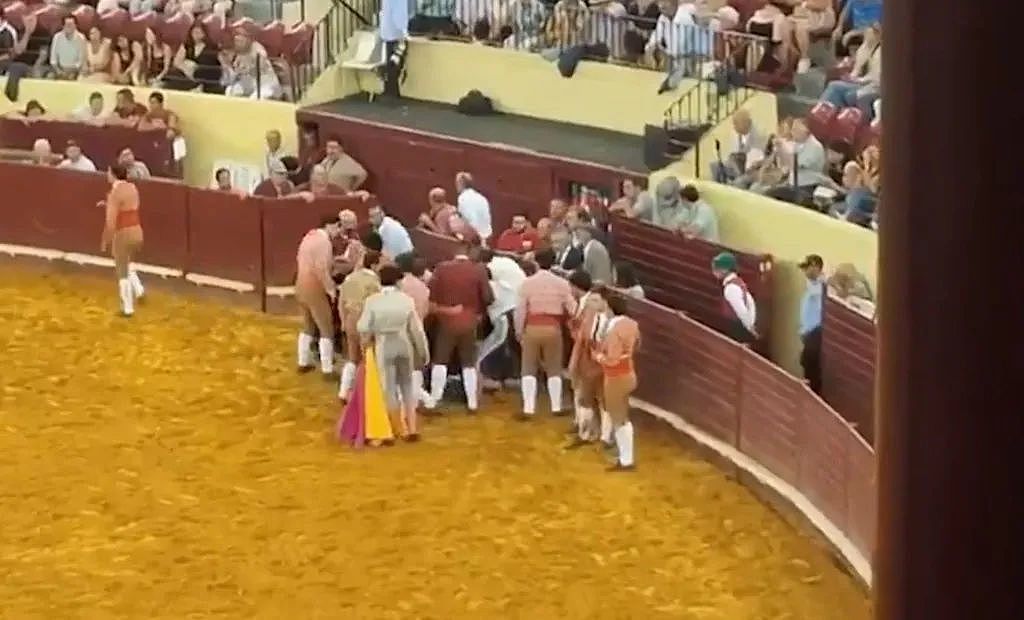 22岁葡萄牙斗牛手首秀被700公斤公牛撞飞身亡!观众也被吓到心脏病突发离世(组图) - 9
