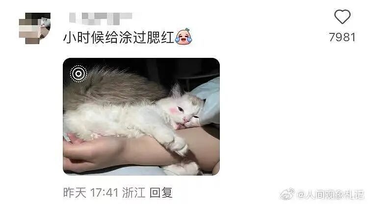【爆笑】“分手方式究竟能炸裂到什么程度...？”哈哈哈为了脱身简直不择手段！（组图） - 73
