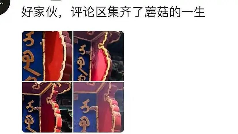 【爆笑】“分手方式究竟能炸裂到什么程度...？”哈哈哈为了脱身简直不择手段！（组图） - 20