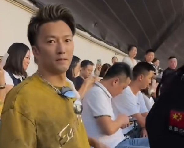 谢霆锋重庆演唱会惊现“分身”，粉丝围堵狂拍！保安大喊：假的（组图） - 6