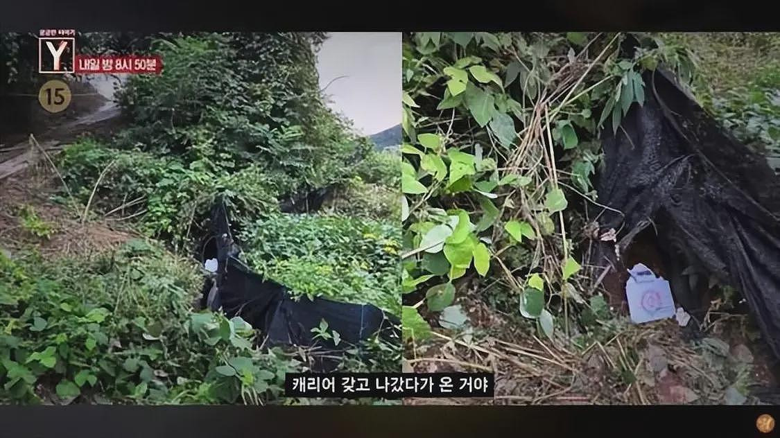 韩国25岁女主播确认遇害，遗体有多处暴力创伤（组图） - 2