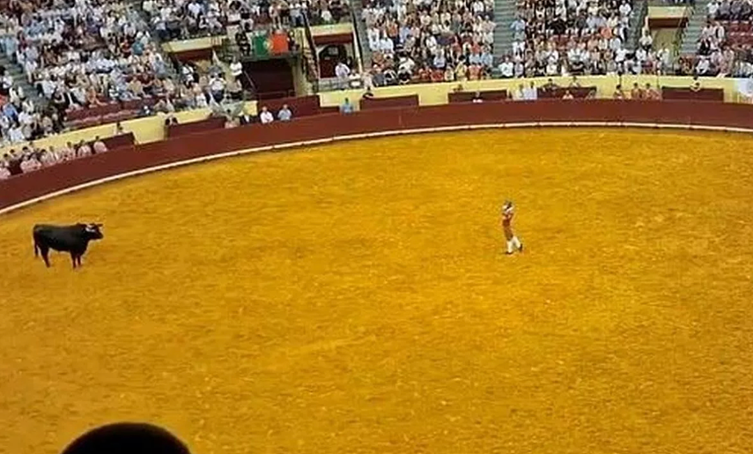 22岁葡萄牙斗牛手首秀被700公斤公牛撞飞身亡!观众也被吓到心脏病突发离世(组图) - 4