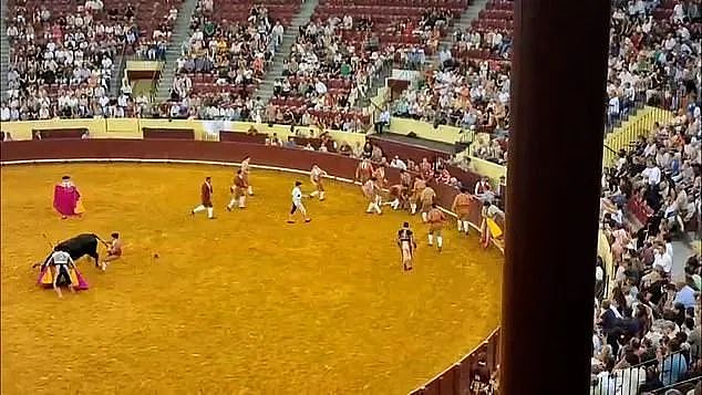 22岁葡萄牙斗牛手首秀被700公斤公牛撞飞身亡!观众也被吓到心脏病突发离世(组图) - 7