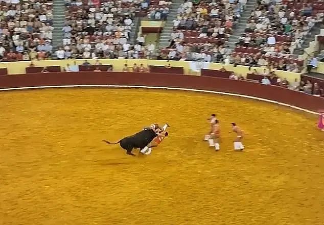 22岁葡萄牙斗牛手首秀被700公斤公牛撞飞身亡!观众也被吓到心脏病突发离世(组图) - 6