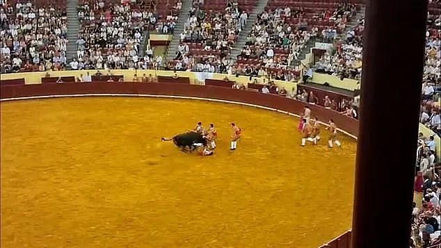 22岁葡萄牙斗牛手首秀被700公斤公牛撞飞身亡!观众也被吓到心脏病突发离世(组图) - 12