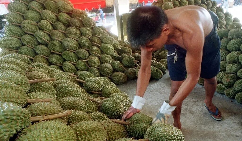不爽儿子搞外遇，泰国榴莲大亨呼吁警察抓儿子，还悬赏揍小三：打一顿给3万，打到两人分手为止！（组图） - 4