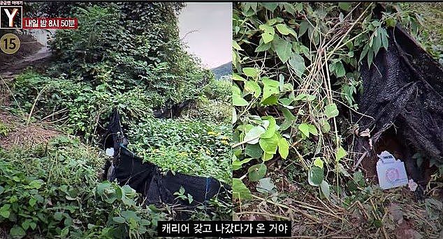 22岁韩国美女网红殒命,遗体被弃垃圾场,50岁“榜一大哥”被捕(组图) - 3