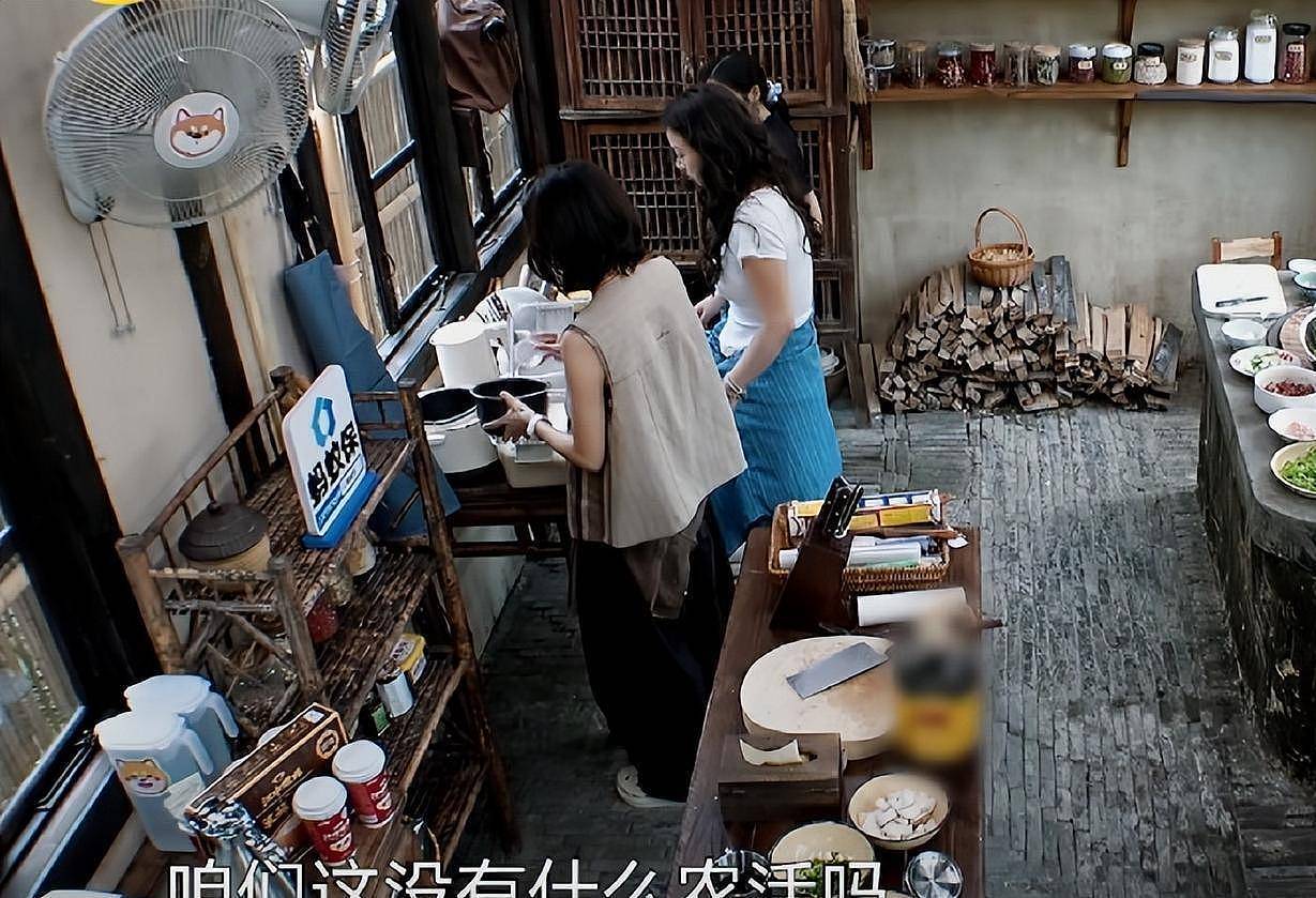 收视暴跌至25名！向往8做错了什么？背后原因扎心了（组图） - 3
