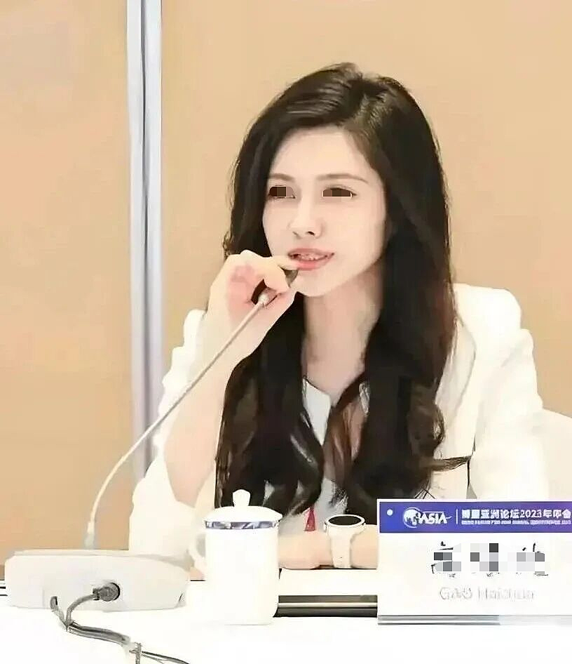 新能源二代集体“渡劫”！父辈留下的百亿烂摊子，女儿们来收？（组图） - 3