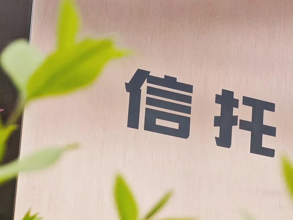 一篇读懂！许家印家族信托“防火墙”崩塌记（组图） - 4