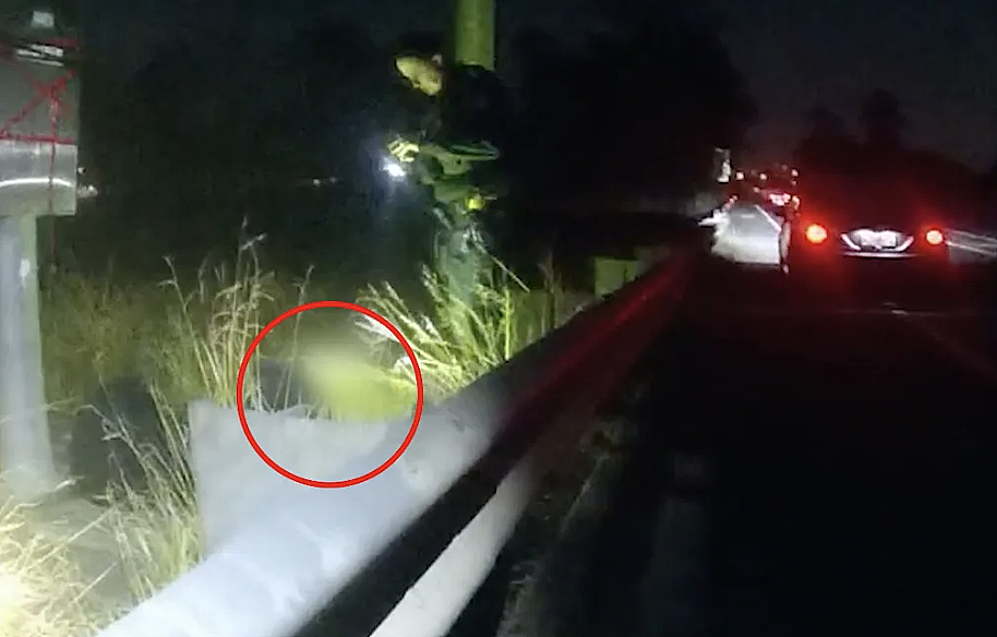 趴地偷电，要钱不要命？ 布里斯班两男剪高压线被捕，铜线盗窃猖獗致年损$450万（组图） - 2