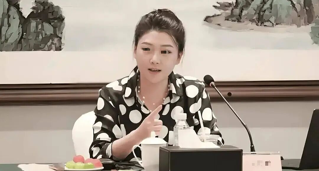 新能源二代集体“渡劫”！父辈留下的百亿烂摊子，女儿们来收？（组图） - 2