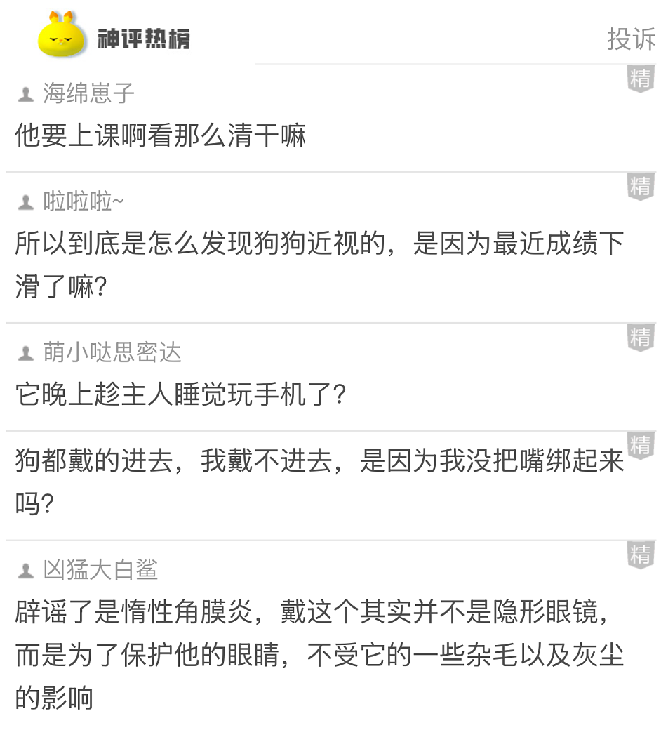 【爆笑】男朋友说他外面有别的女人,我没提分手,还给那个女生转钱!为啥全网都劝我给自己撒点糯米(组图) - 39