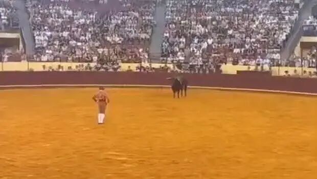 22岁葡萄牙斗牛手首秀被700公斤公牛撞飞身亡!观众也被吓到心脏病突发离世(组图) - 1