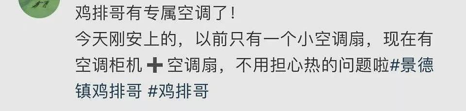 “鸡排哥”成立工作室,露天摊位安装专属空调(组图) - 4