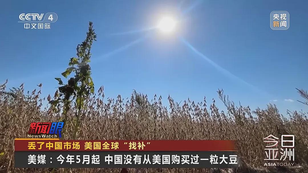 “中国一粒都没买”!大豆滞销,美国农民卖设备维持生计,特朗普满世界找买家,美协会急了:赶紧和中国谈(组图) - 2