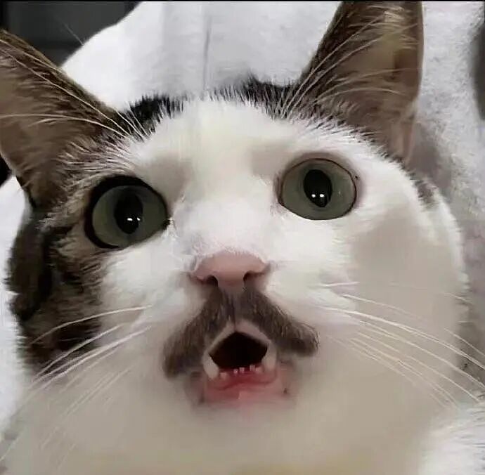 【爆笑】“分手方式究竟能炸裂到什么程度...？”哈哈哈为了脱身简直不择手段！（组图） - 81