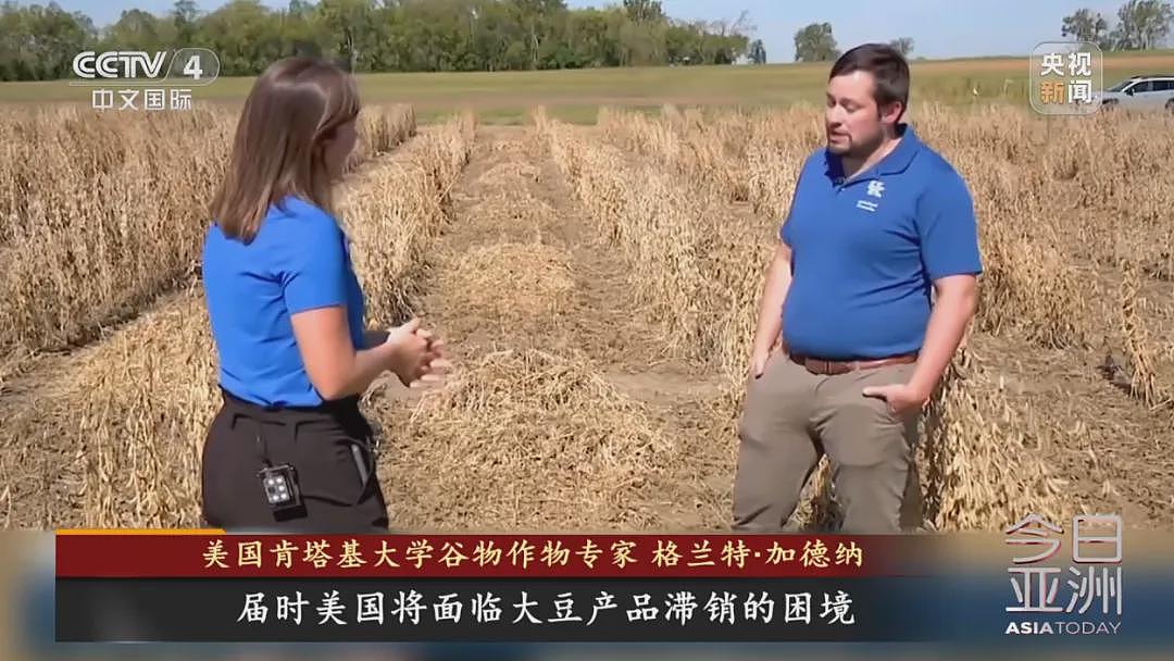 “中国一粒都没买”!大豆滞销,美国农民卖设备维持生计,特朗普满世界找买家,美协会急了:赶紧和中国谈(组图) - 8