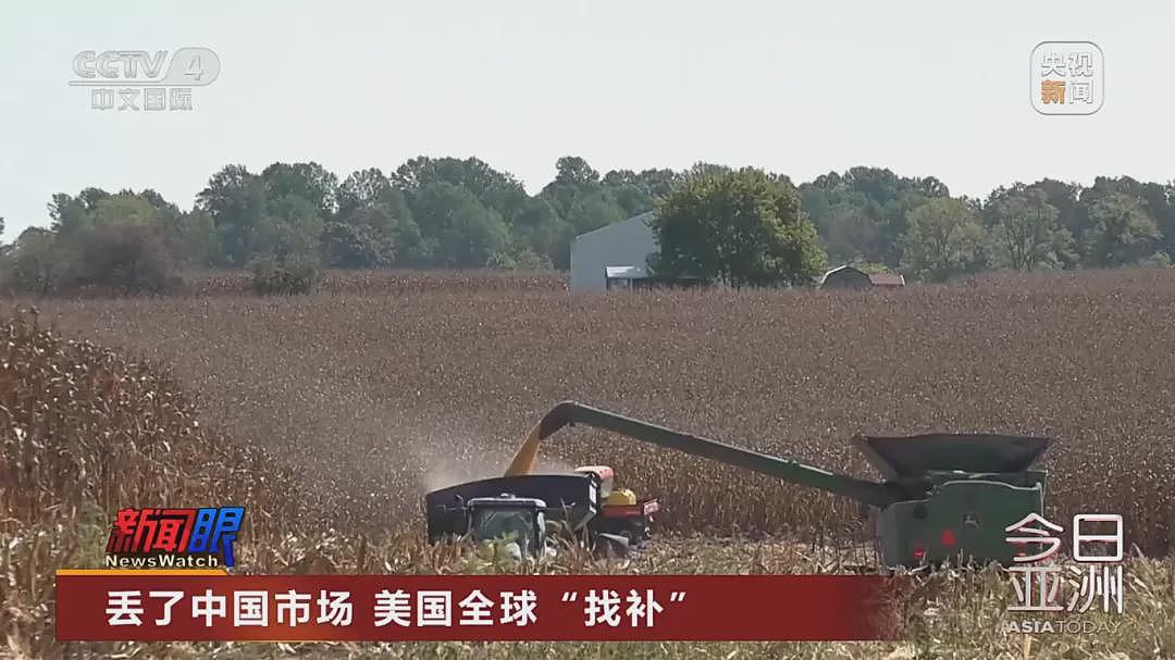 “中国一粒都没买”!大豆滞销,美国农民卖设备维持生计,特朗普满世界找买家,美协会急了:赶紧和中国谈(组图) - 9
