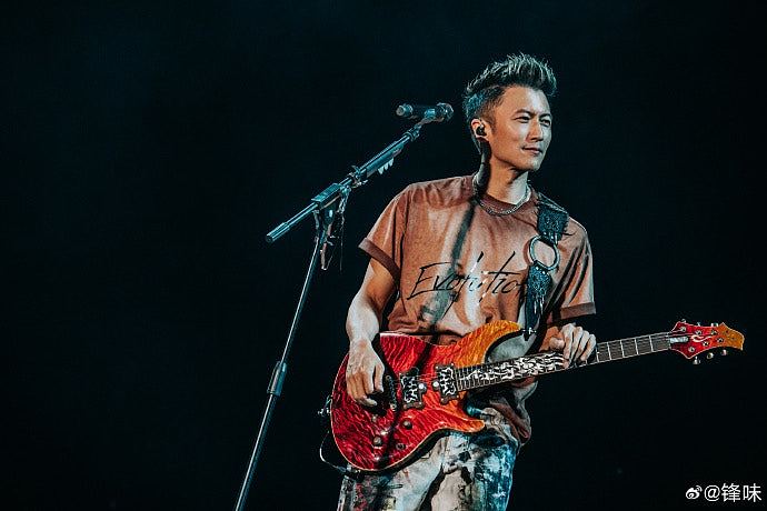 谢霆锋重庆演唱会惊现“分身”，粉丝围堵狂拍！保安大喊：假的（组图） - 3