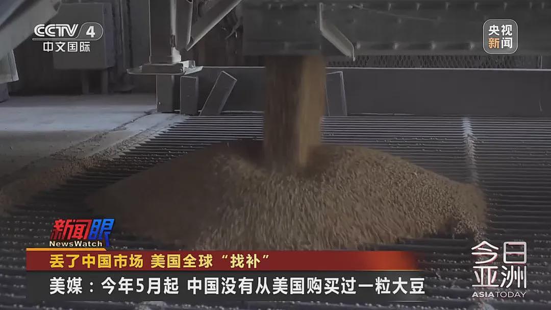 “中国一粒都没买”!大豆滞销,美国农民卖设备维持生计,特朗普满世界找买家,美协会急了:赶紧和中国谈(组图) - 3
