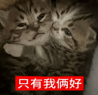 【两性】前戏总被嫌“没感觉”？这样做，啪啪啪才更爽（组图） - 3