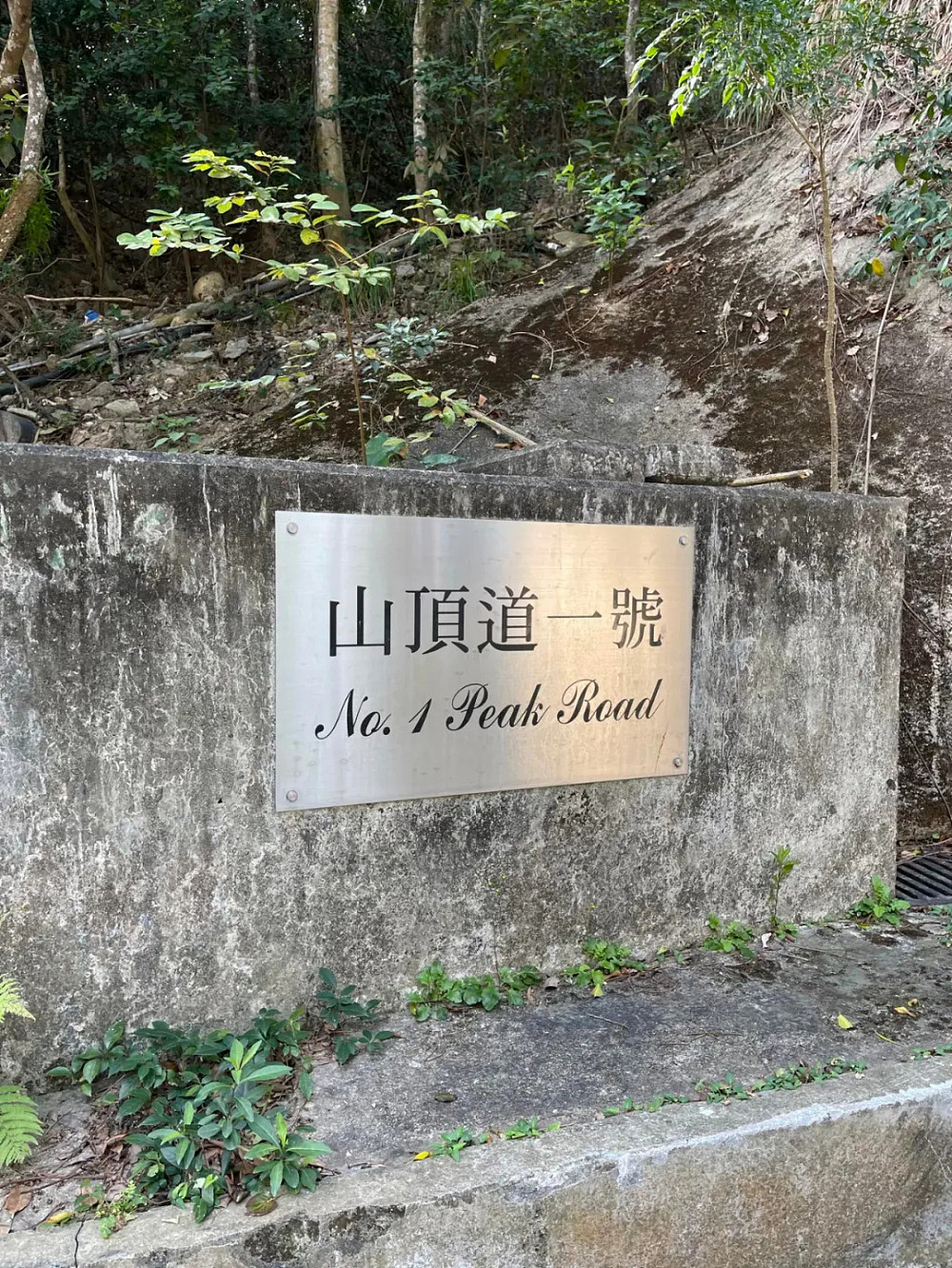 市价超5.6亿港元，“山顶道1号”发生命案！顶级豪宅或成香港最贵凶宅（组图） - 4