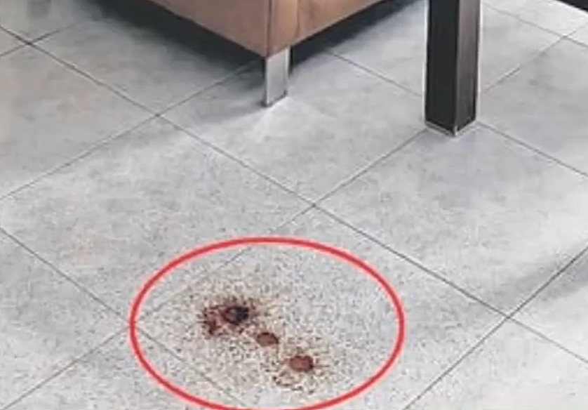悲剧！剑桥女博士疑活活饿死，父亲成白骨，血水渗至楼下腐臭冲天（组图） - 4