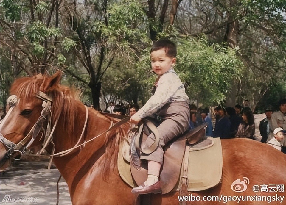 高云翔被赞好爸爸：错过唐嫣、背叛董璇，一手好牌打稀烂？（组图） - 5