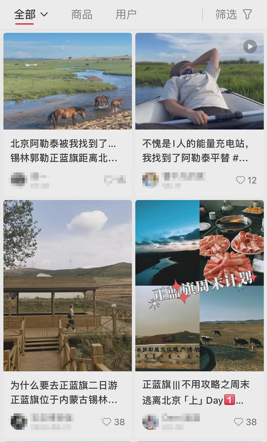 月入3万，去不起新疆“平替”？（组图） - 17