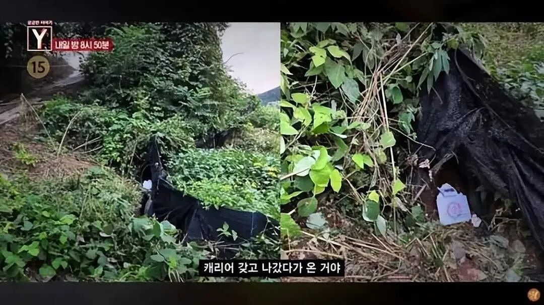 韩国女主播遇害，嫌疑人竟是50多岁榜一大哥！直播间疯狂打赏后，他后悔了（组图） - 3