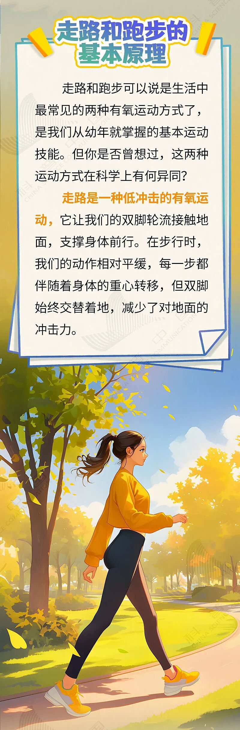 走路和跑步,哪个更延寿,对血管更好?答案令人意外(组图) - 2