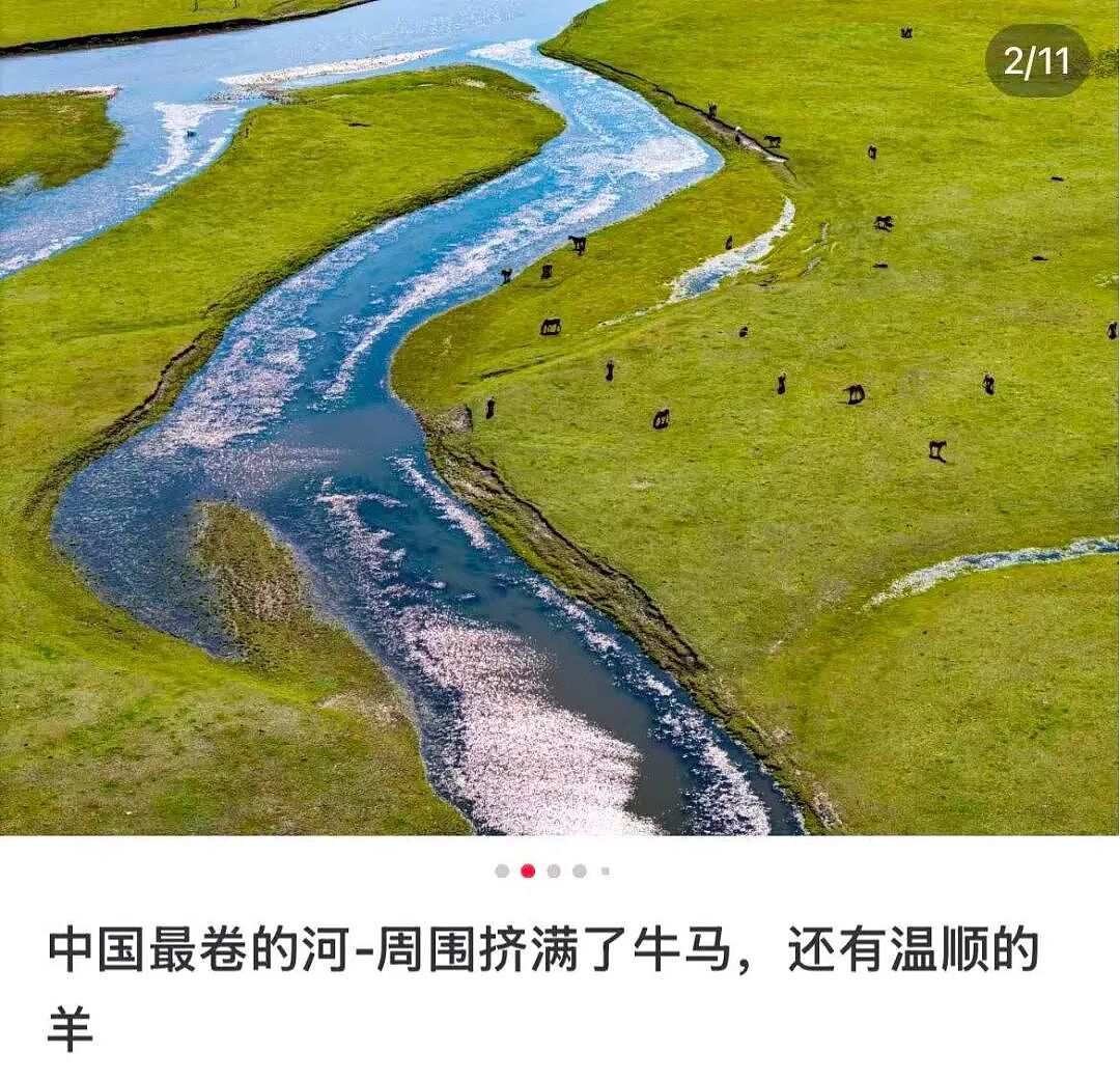 月入3万，去不起新疆“平替”？（组图） - 21