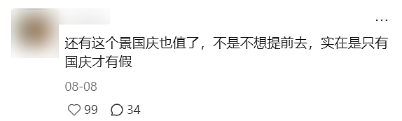 月入3万，去不起新疆“平替”？（组图） - 30
