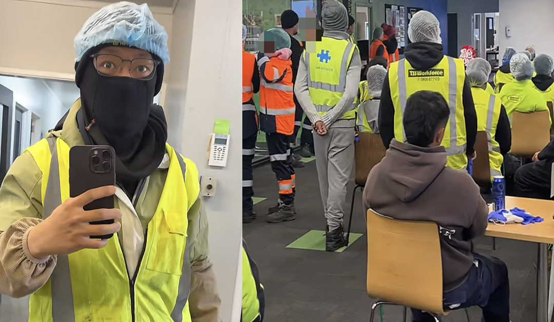 35岁前告别国内大厂！赴新西兰开启下半场，“从苦力干起……”（组图） - 12