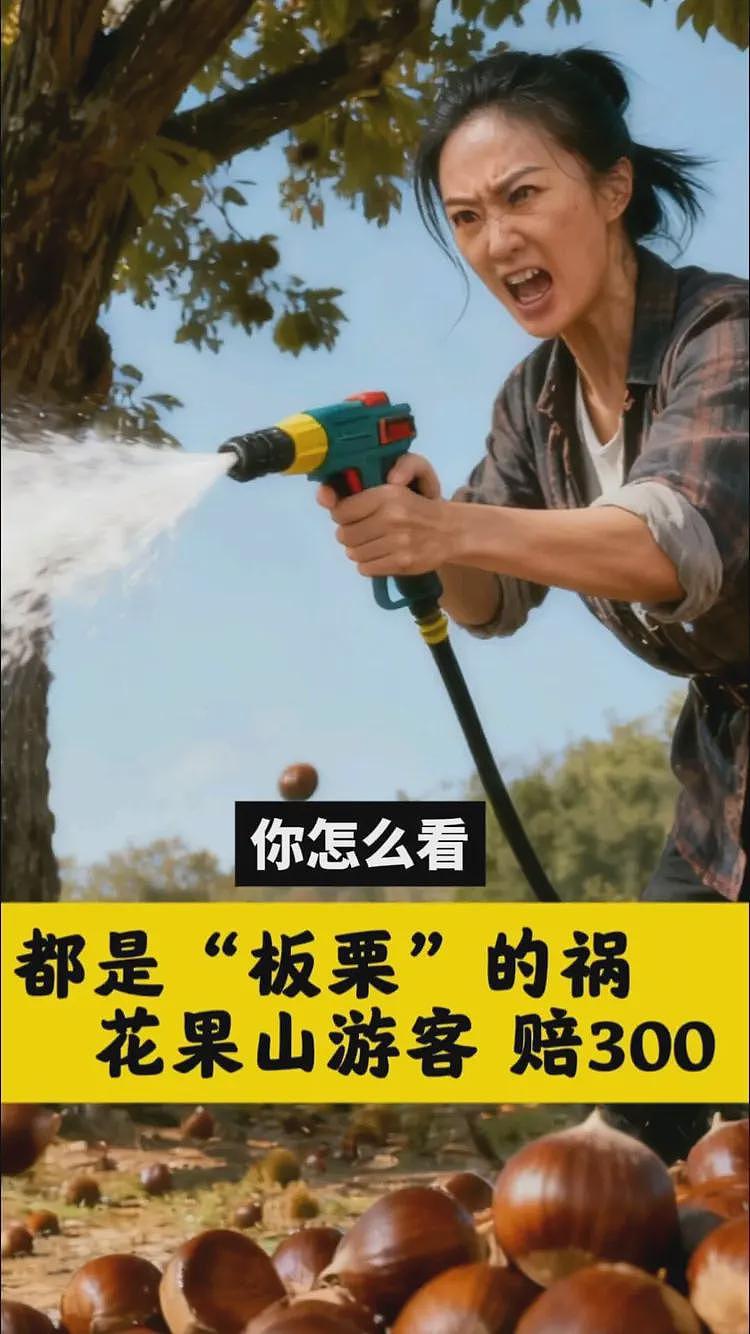 老板改名也逃不过网暴？花果山这波操作，把游客和文旅一起得罪了（组图） - 1