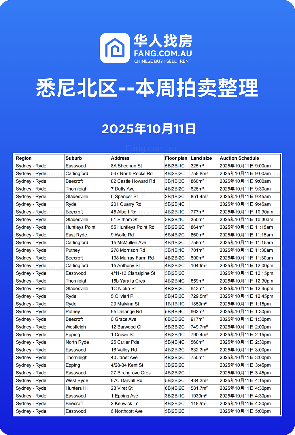 直击悉尼周末拍卖现场,拍卖结果实时更新!(组图) - 10