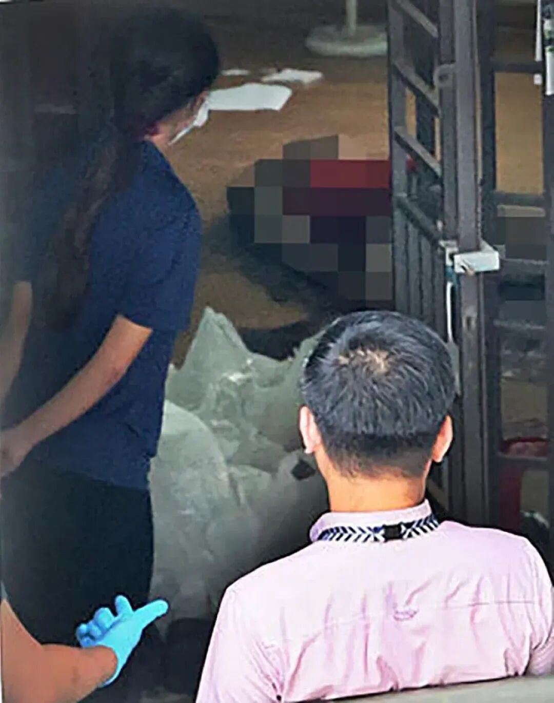 悲剧!新加坡一公寓发生“双尸案”:父亲成白骨,剑桥博士女儿疑饿死!(组图) - 1