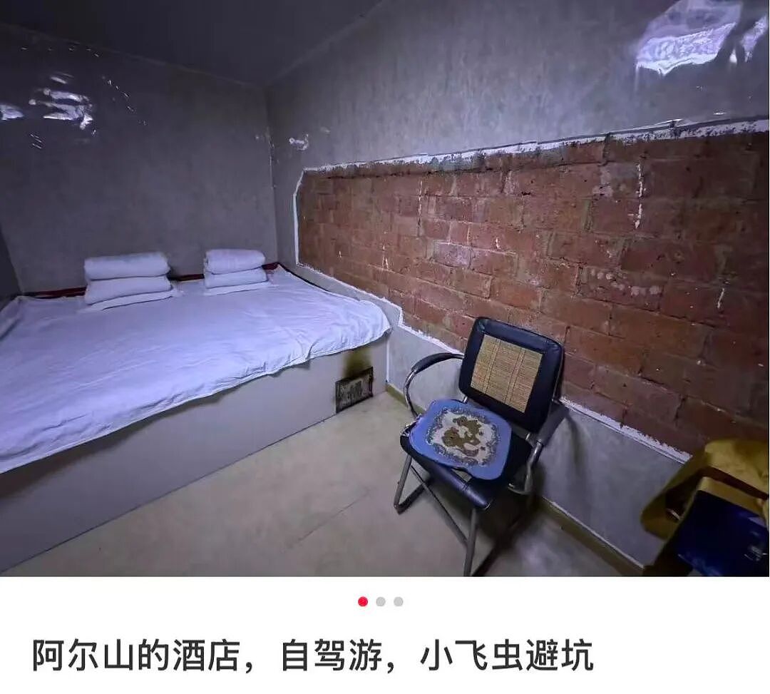 月入3万，去不起新疆“平替”？（组图） - 11