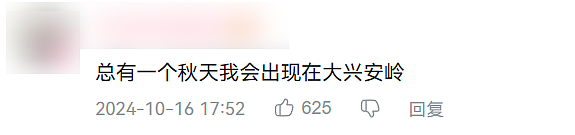 月入3万，去不起新疆“平替”？（组图） - 31