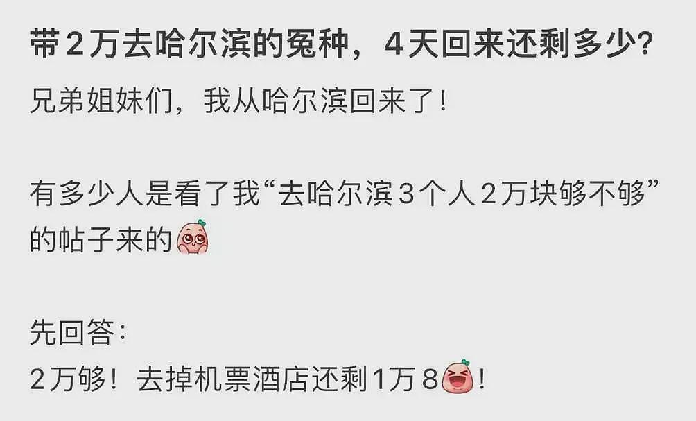 月入3万，去不起新疆“平替”？（组图） - 4