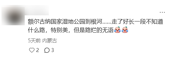 月入3万，去不起新疆“平替”？（组图） - 23
