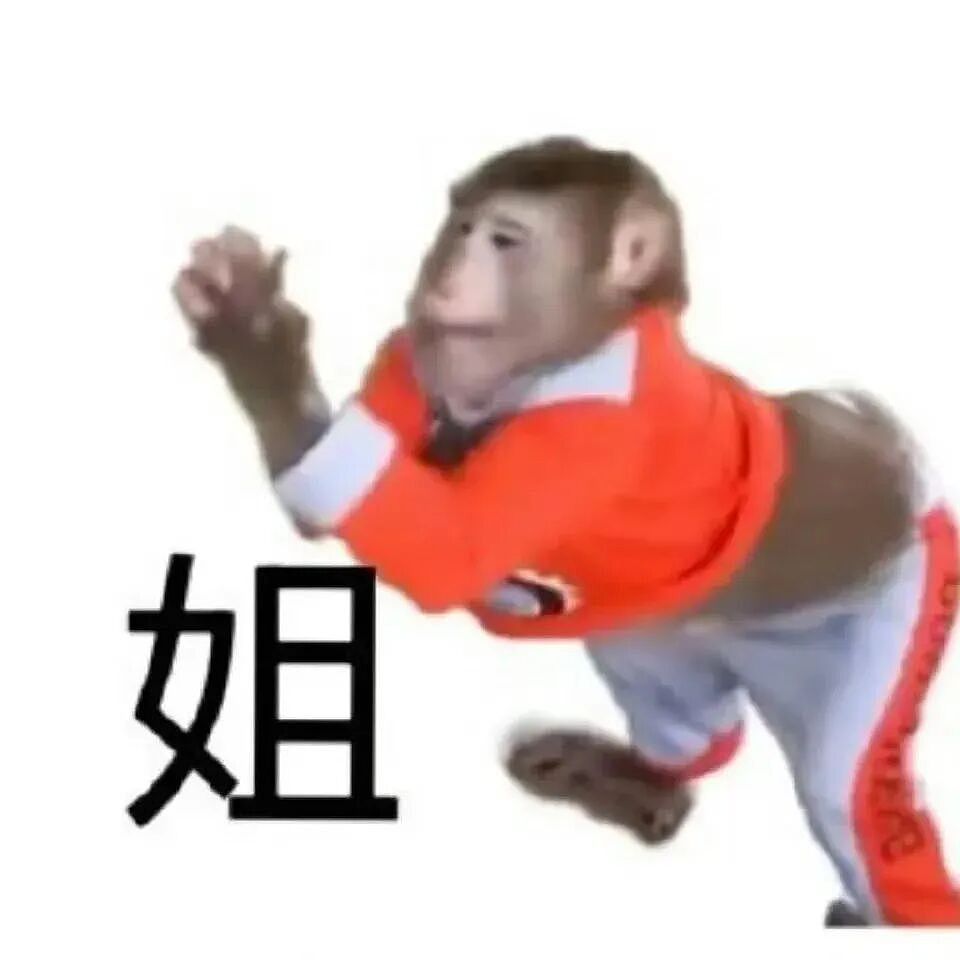【爆笑】“五星级酒店的拖鞋能有多离谱?”哈哈哈哈哈总裁平时就穿这个啊(组图) - 59