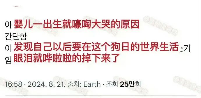 【爆笑】“五星级酒店的拖鞋能有多离谱?”哈哈哈哈哈总裁平时就穿这个啊(组图) - 67