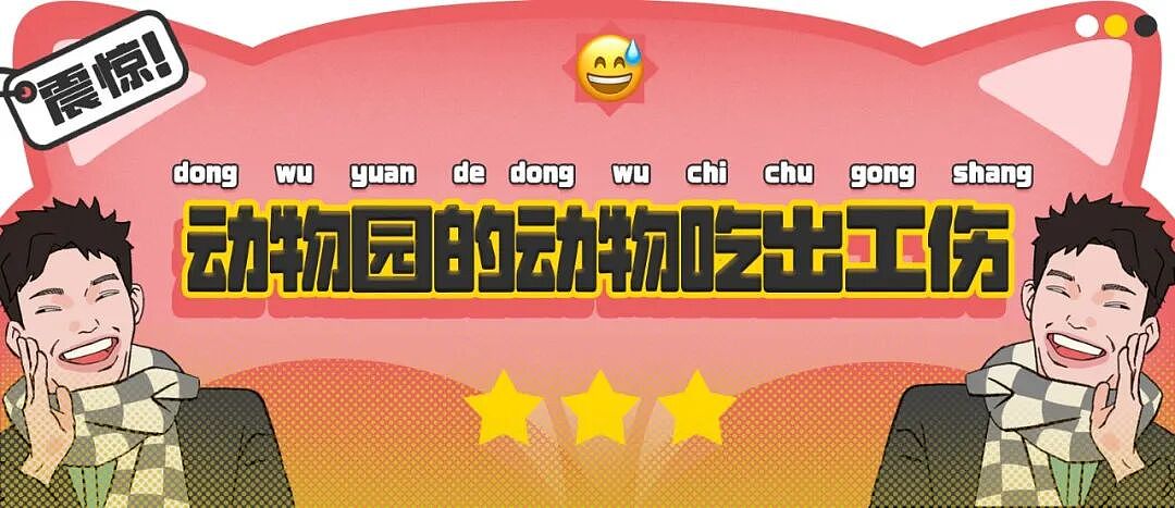 【爆笑】“假期景区的动物都吃出工伤了！“ 哈哈哈哈哈哈都收手吧（组图） - 1
